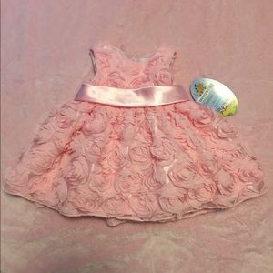 NWT American Princess Pink Rose Dress
